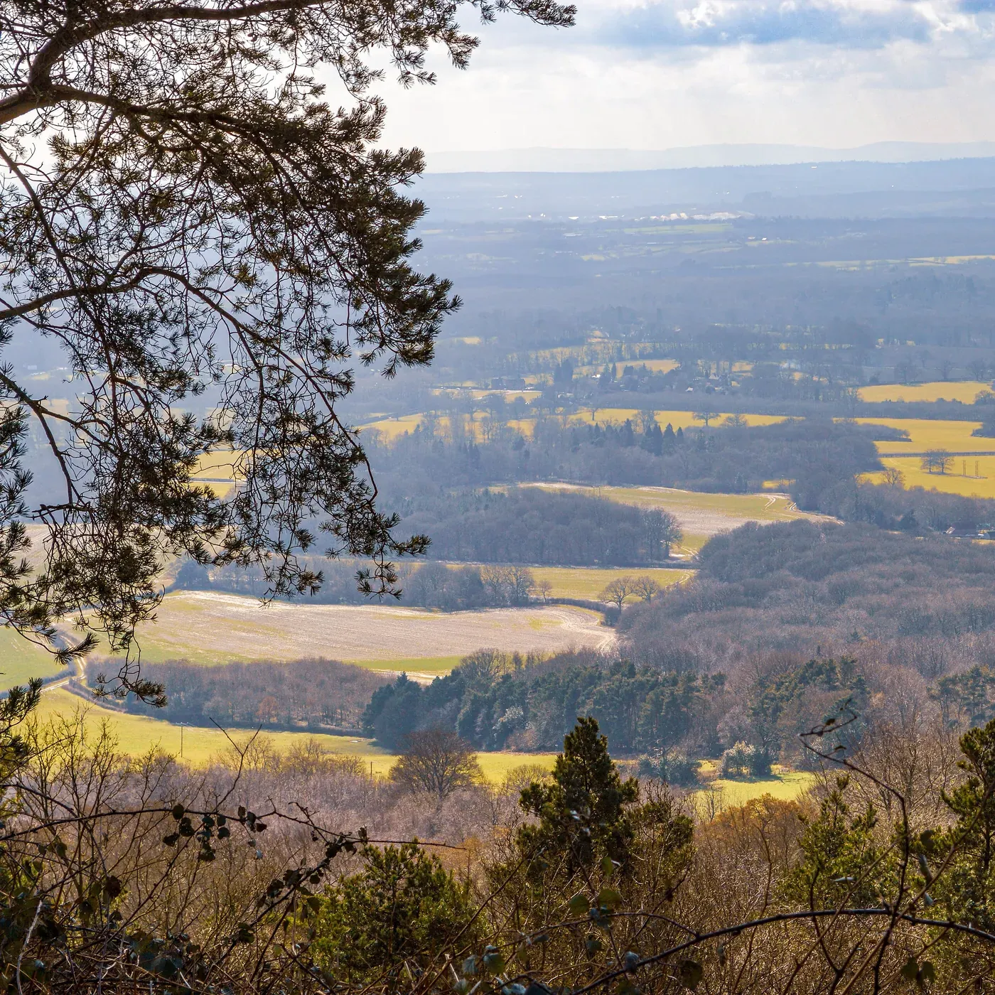 The view south from Leith Hill over the Weald, Surrey